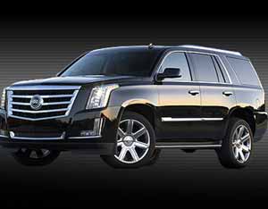 Executive Cadillac Escalade SUV